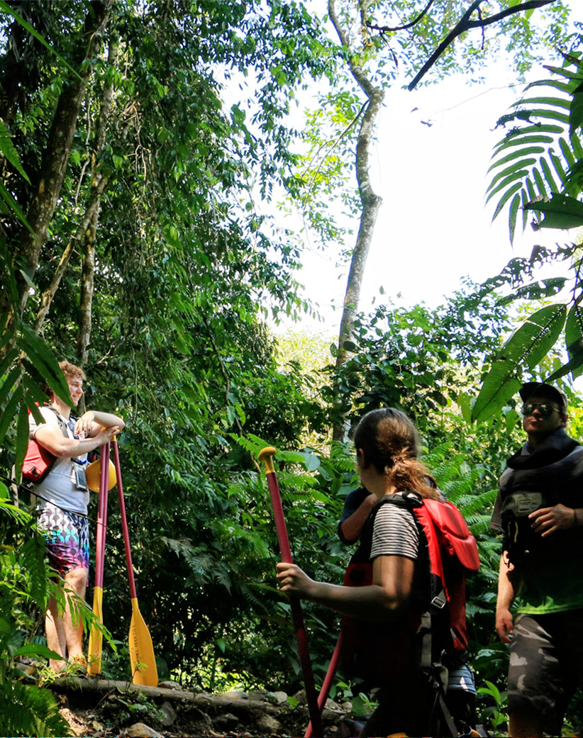 Guided jungle hike through Colombia's scenic trails