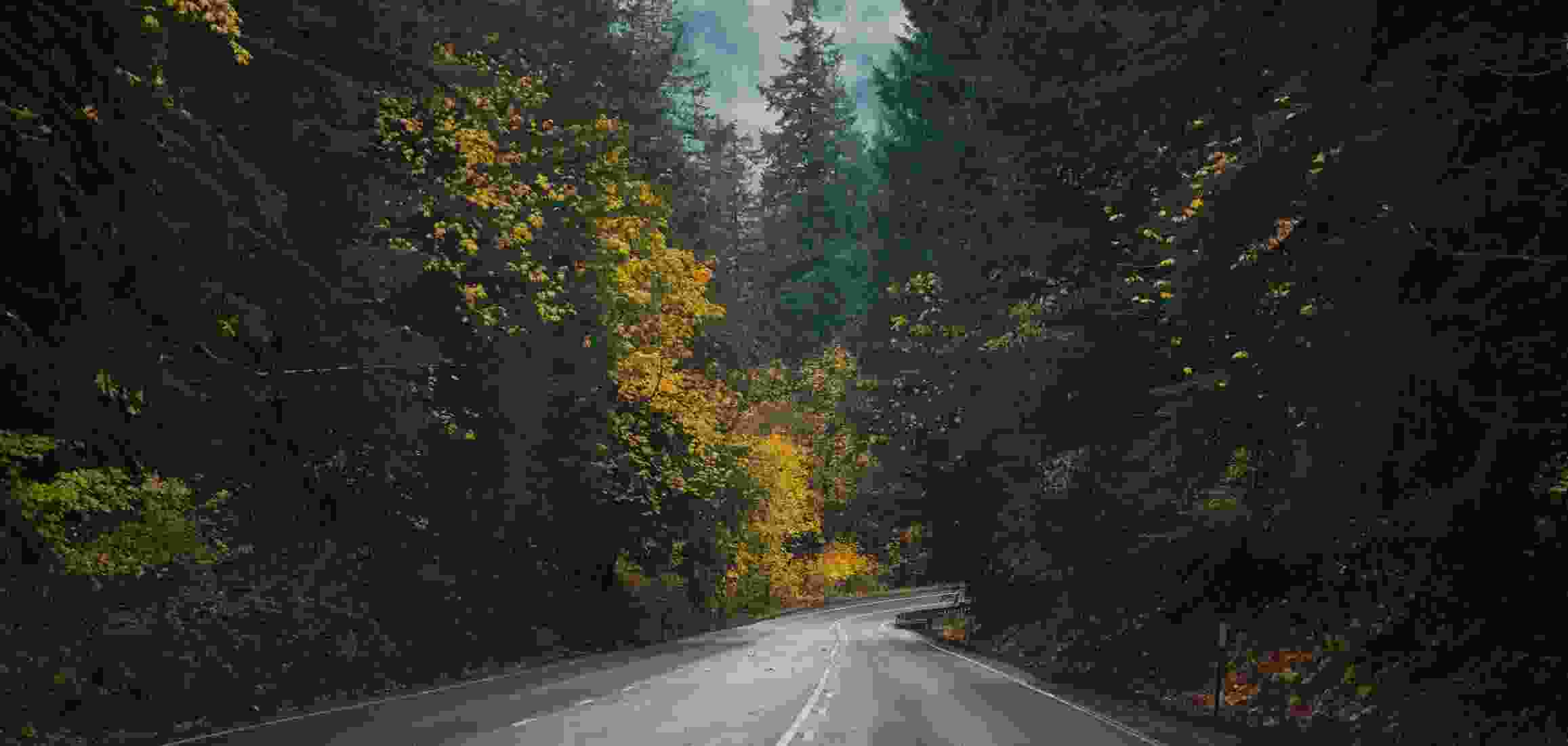 Long, winding highway road forking through mountainous terrain at the onset of autumn.