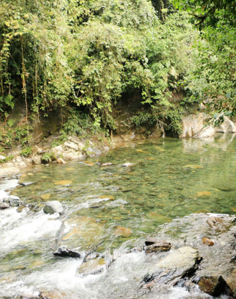 Swimming in a hidden jungle oasis after a hike.