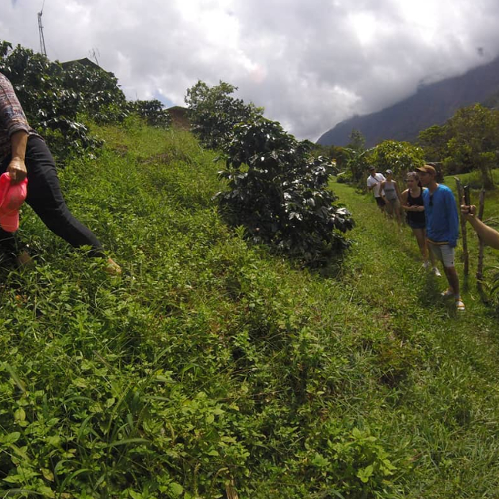 Guided group hikes in Colombia’s mountain regions