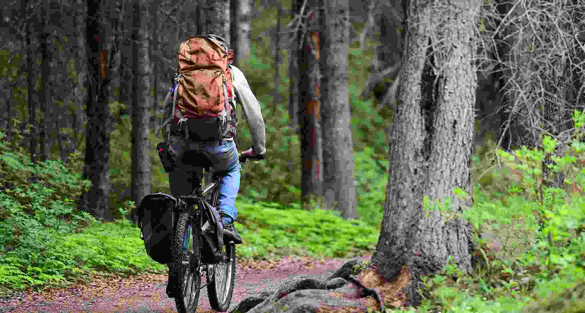 Eco-friendly gen Z guy bicycling through protected wilderness.