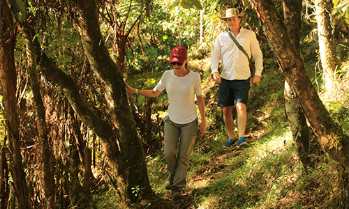 Mountain hiking adventure in Colombia.